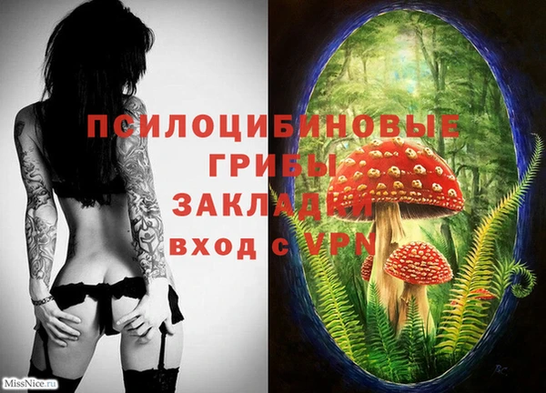 каннабис Беломорск